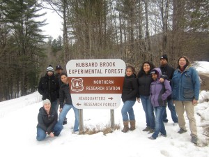 The Team at Hubbard Brook Experimental Forest